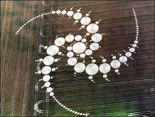 crop circle 1